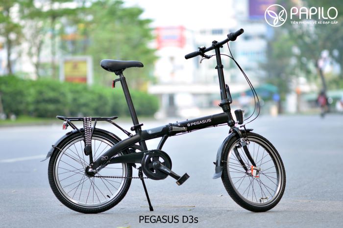 Pegasus-D3s-_-hang-xe-dap-gap-noi-tieng-cua-Duc-28