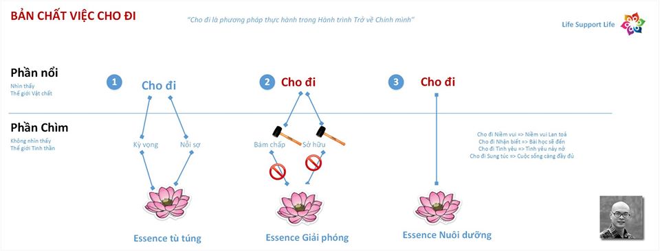 QUANGPN-CHOT-NGO-HIEU-VỀ-VIEC-CHO-DI-43