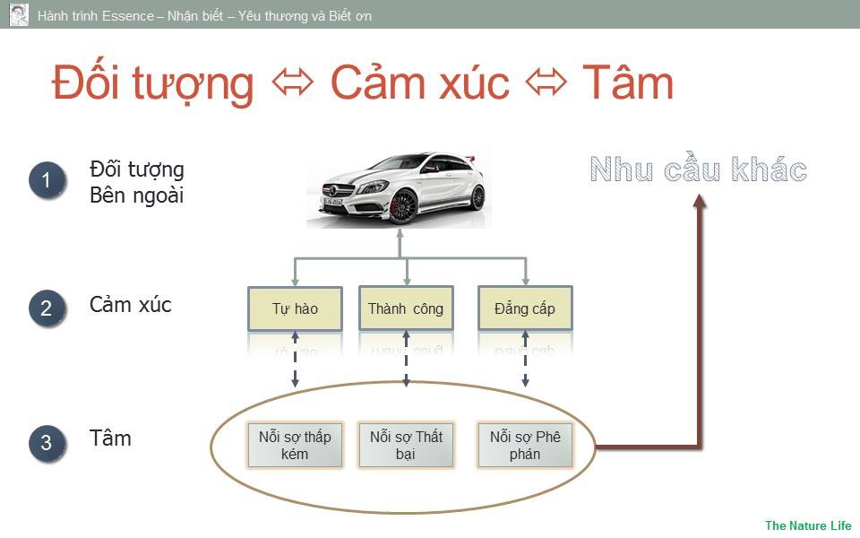 QUAN-CHIEU-TAM-56